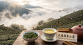 Dayuling High Mountain Tea
